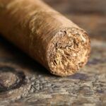 Best Cigars for Beginners