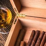 Great Humidors Produce Excellent Cigars: A Guide to Choosing the Best Humidor